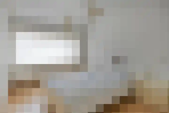 Rapenburg 25 Vogelwaarde thumbnail 22