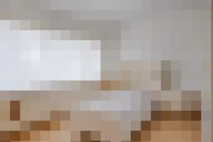 Rapenburg 25 Vogelwaarde thumbnail 26