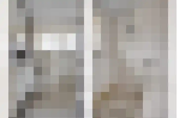 Rapenburg 25 Vogelwaarde thumbnail 28