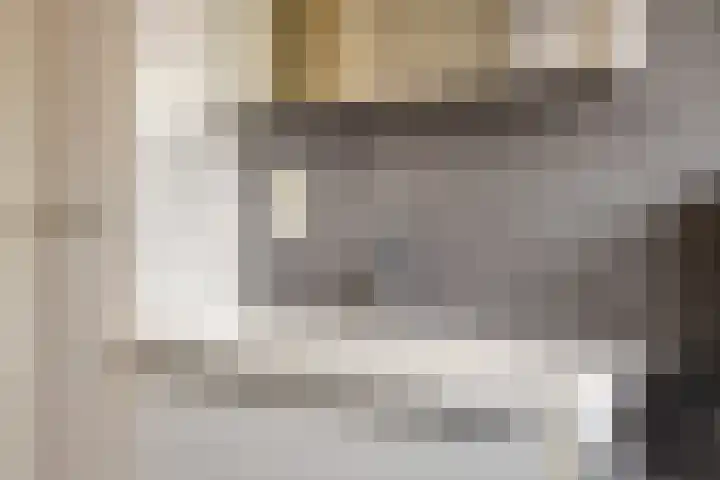 Rapenburg 25 Vogelwaarde thumbnail 29