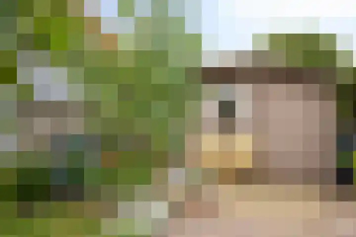 Rapenburg 25 Vogelwaarde thumbnail 34