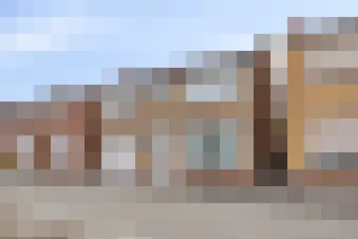 Rapenburg 25 Vogelwaarde thumbnail 38