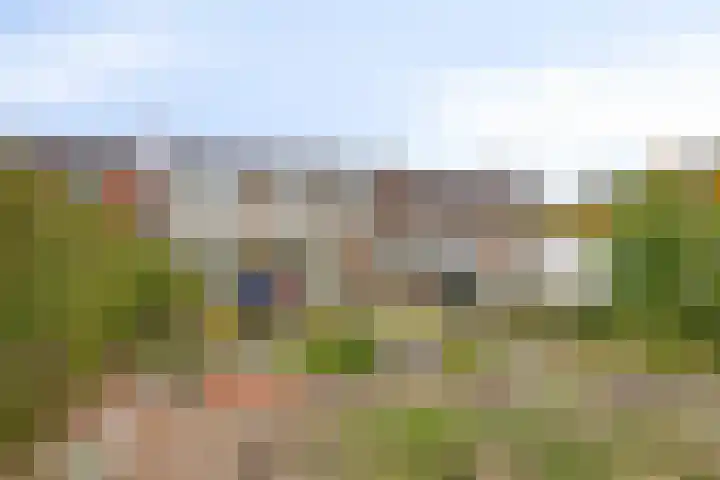 Rapenburg 25 Vogelwaarde thumbnail 4