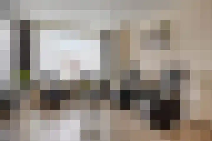 Rapenburg 25 Vogelwaarde thumbnail 6