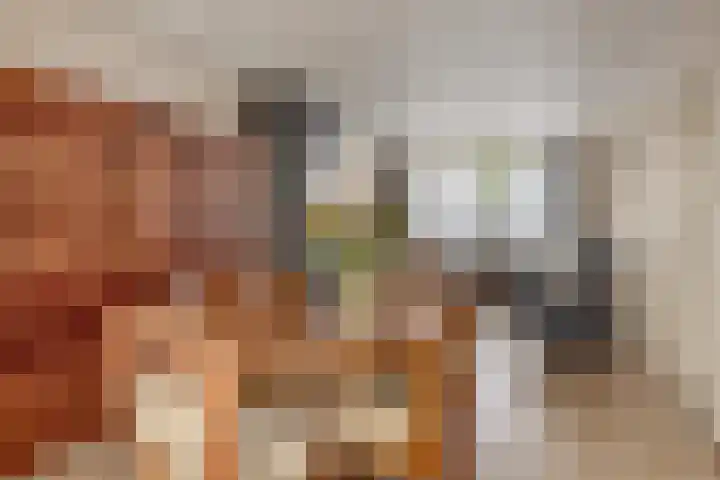 Rapenburg 25 Vogelwaarde thumbnail 9