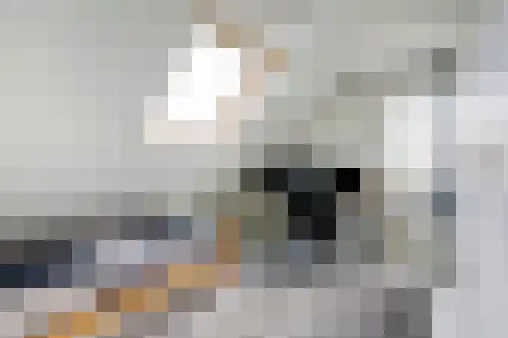 Rapenburg 3 Harlingen thumbnail 22
