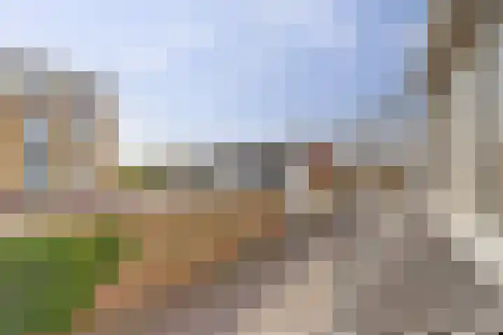 Rapenburg 3 Harlingen thumbnail 29
