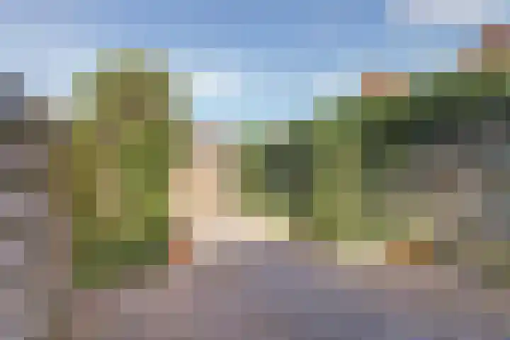 Rapenburg 3 Harlingen thumbnail 30