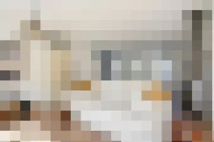 Rapenburg 3 Harlingen thumbnail 4