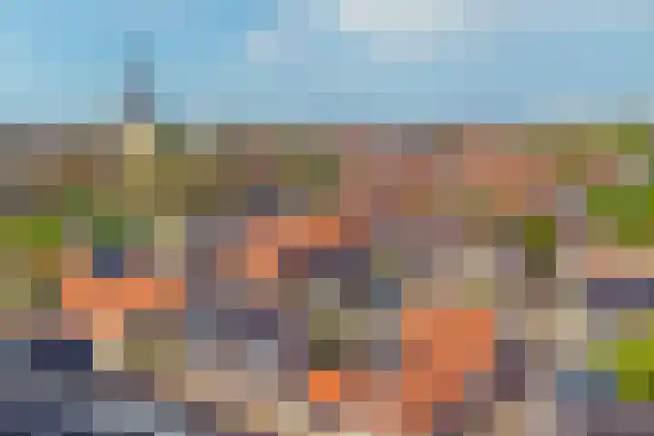 Rapenburg 3 Harlingen thumbnail 43