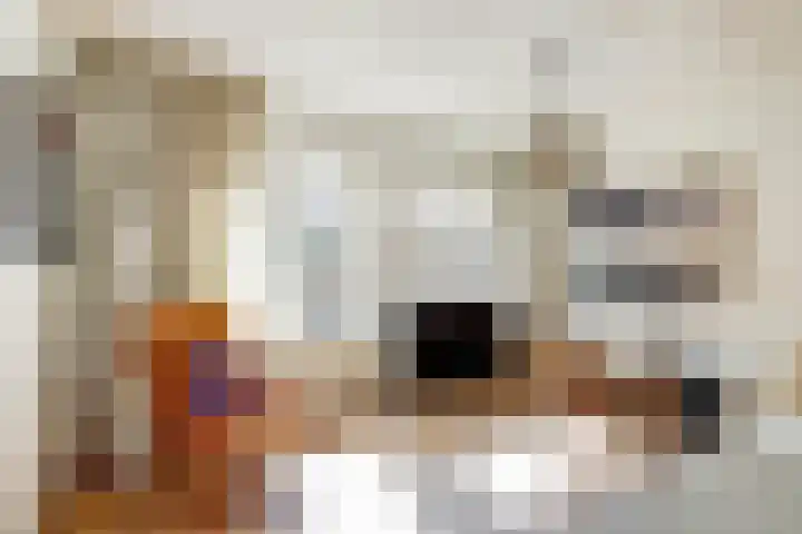 Rapenburg 3 Harlingen thumbnail 5