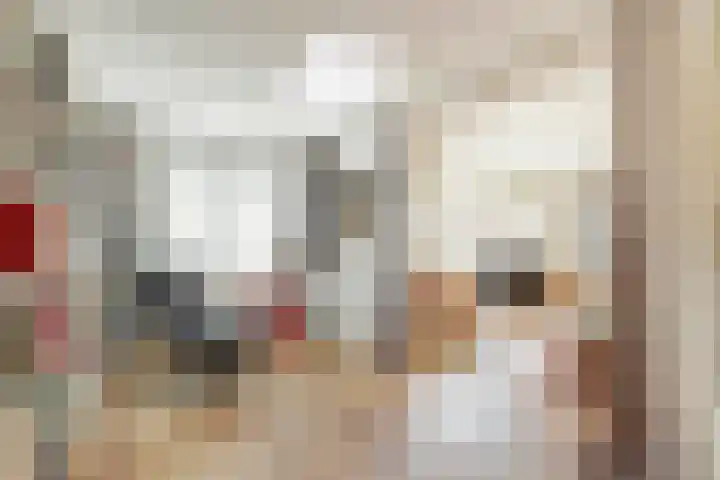Rapenburg 3 Harlingen thumbnail 6