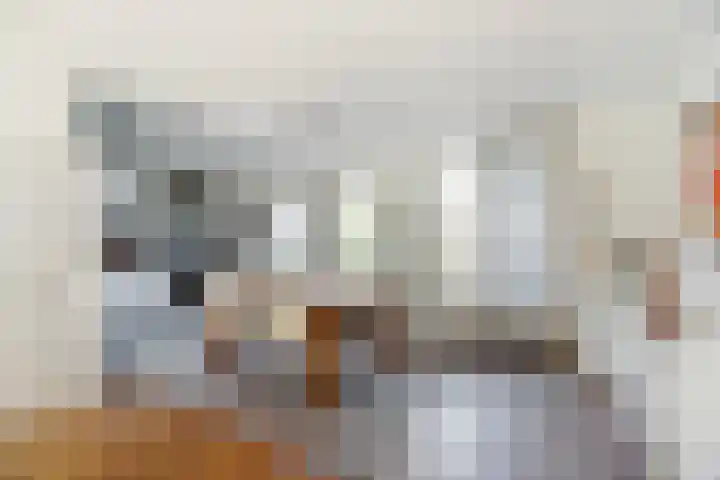 Rapenburg 3 Harlingen thumbnail 9