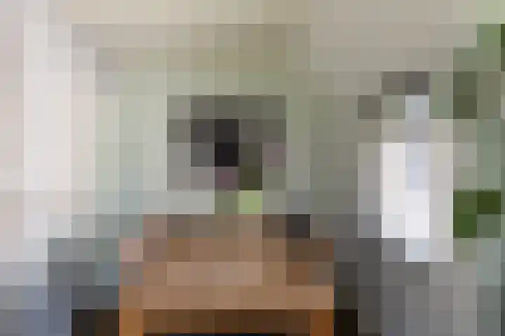 Rapenburg 39 Neede thumbnail 10