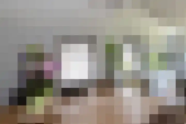 Rapenburg 39 Neede thumbnail 11