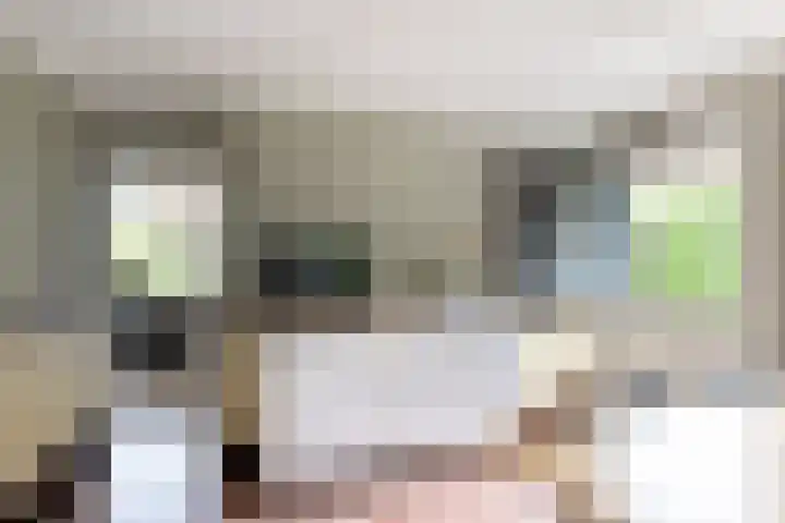 Rapenburg 39 Neede thumbnail 13