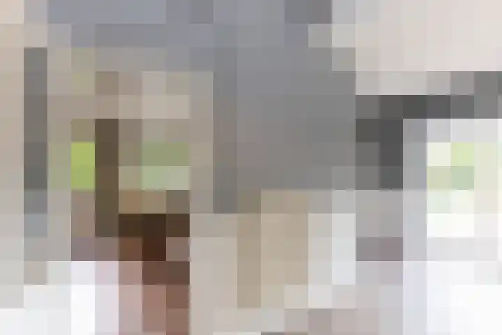 Rapenburg 39 Neede thumbnail 17