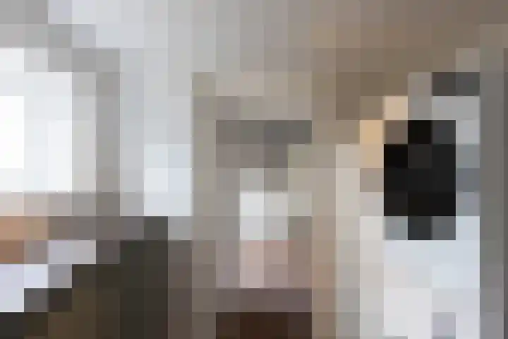 Rapenburg 39 Neede thumbnail 18