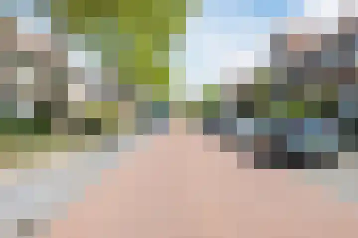 Rapenburg 39 Neede thumbnail 19