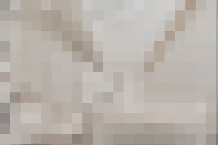 Rapenburg 39 Neede thumbnail 24