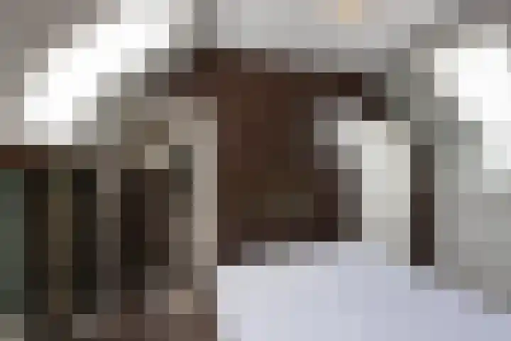 Rapenburg 39 Neede thumbnail 24