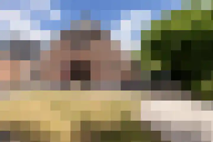 Rapenburg 39 Neede thumbnail 32