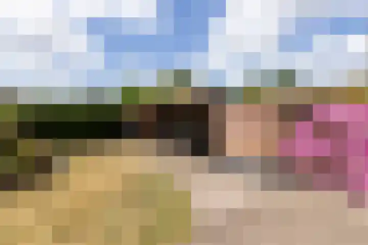 Rapenburg 39 Neede thumbnail 35