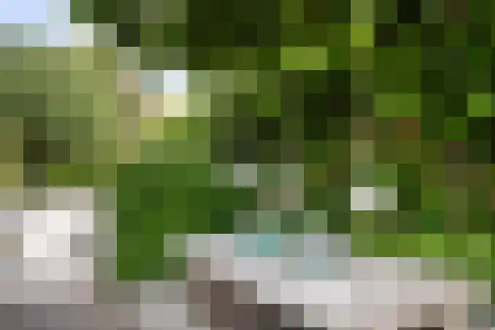 Rapenburg 39 Neede thumbnail 37