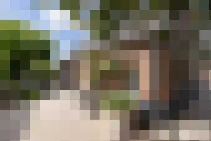 Rapenburg 39 Neede thumbnail 39