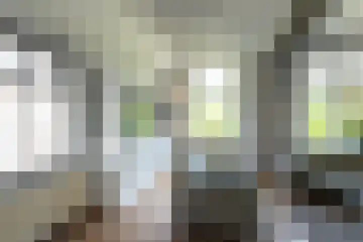Rapenburg 39 Neede thumbnail 4