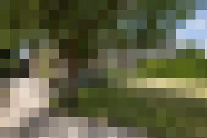 Rapenburg 39 Neede thumbnail 40