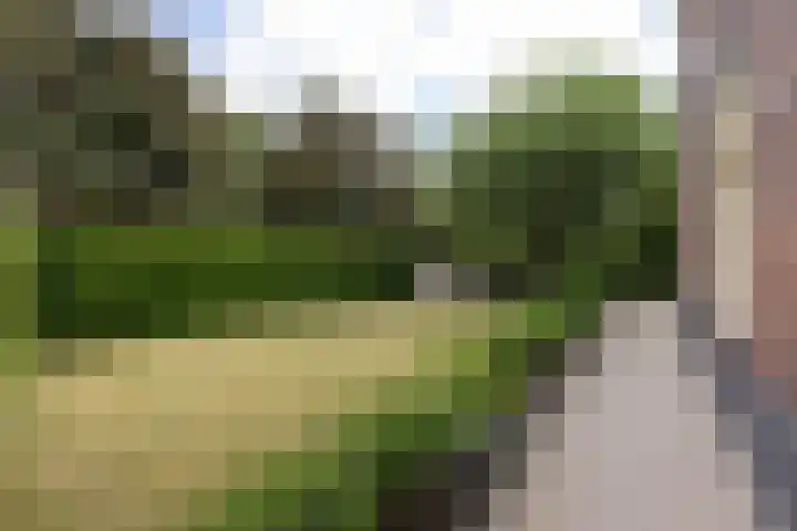 Rapenburg 39 Neede thumbnail 43