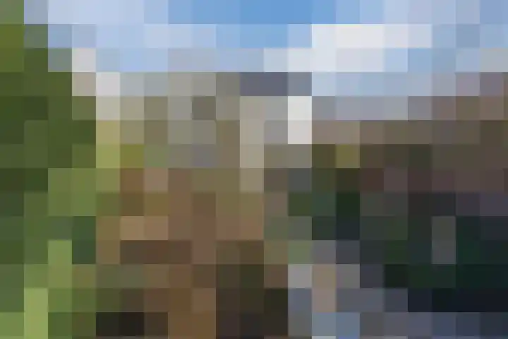 Rapenburg 83 A Leiden thumbnail 4