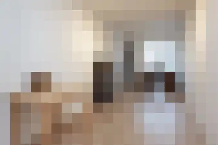 Rapenburgerstraat 101 D Amsterdam thumbnail 13