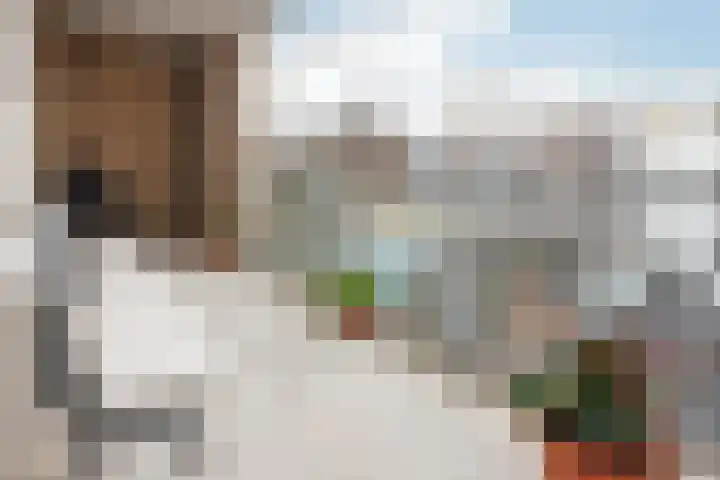 Rapenburgerstraat 101 D Amsterdam thumbnail 14