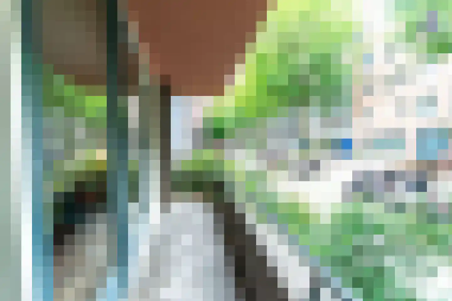 Rapenburgerstraat 114 Amsterdam thumbnail 12
