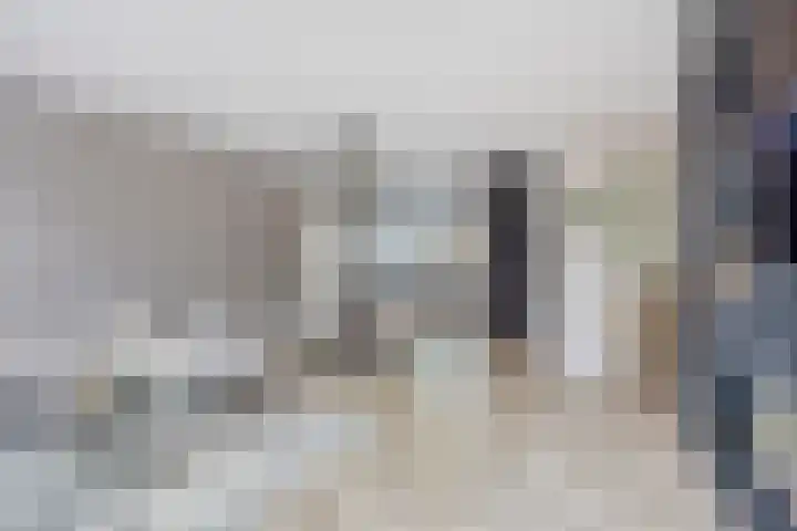 Raperbeek 100 Barneveld thumbnail 11