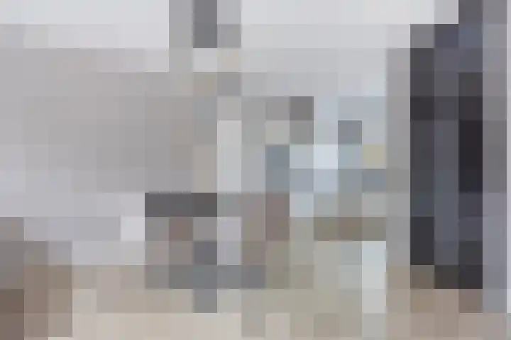 Raperbeek 100 Barneveld thumbnail 12