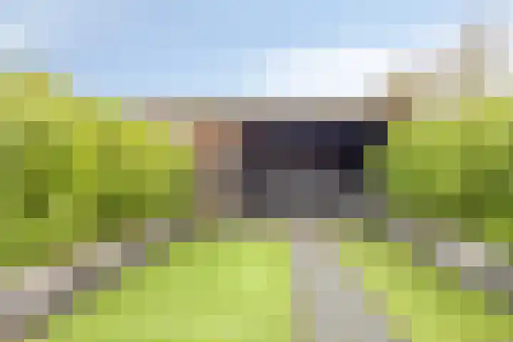 Raperbeek 100 Barneveld thumbnail 29