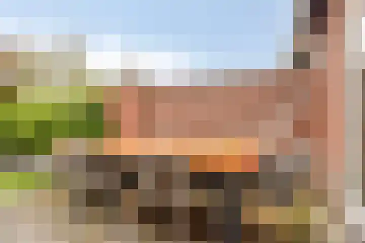 Raperbeek 100 Barneveld thumbnail 30