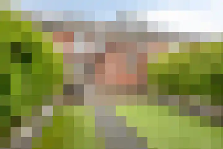 Raperbeek 100 Barneveld thumbnail 32