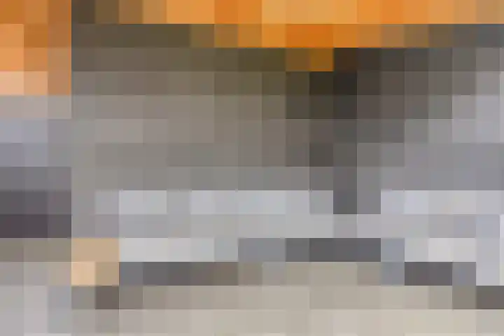 Raperbeek 100 Barneveld thumbnail 33