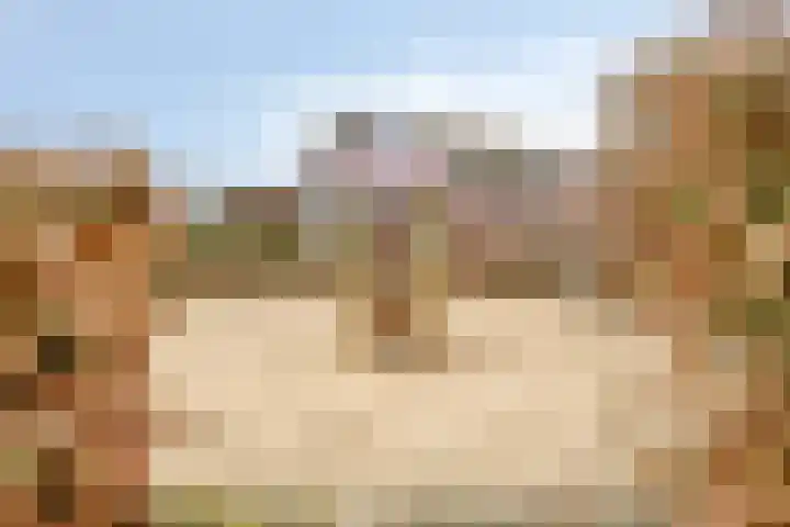 Raperbeek 100 Barneveld thumbnail 36