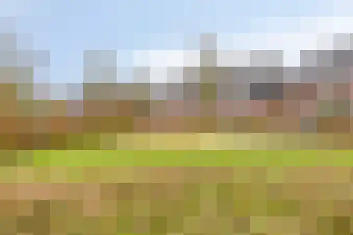 Raperbeek 100 Barneveld thumbnail 37