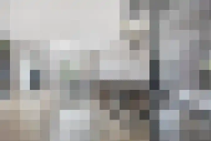 Raperbeek 100 Barneveld thumbnail 5
