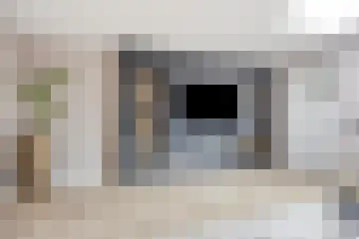 Raperbeek 100 Barneveld thumbnail 7