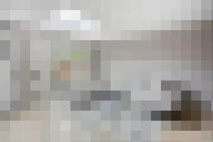 Raperbeek 100 Barneveld thumbnail 9