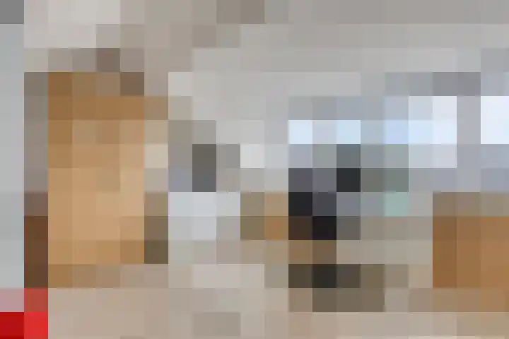 Raperbeek 102 Barneveld thumbnail 23
