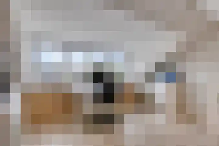 Raperbeek 102 Barneveld thumbnail 24