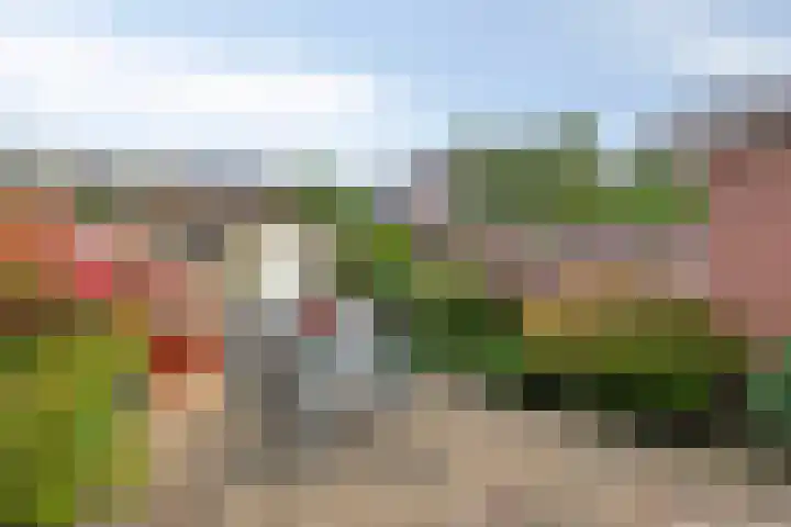 Raperbeek 102 Barneveld thumbnail 26